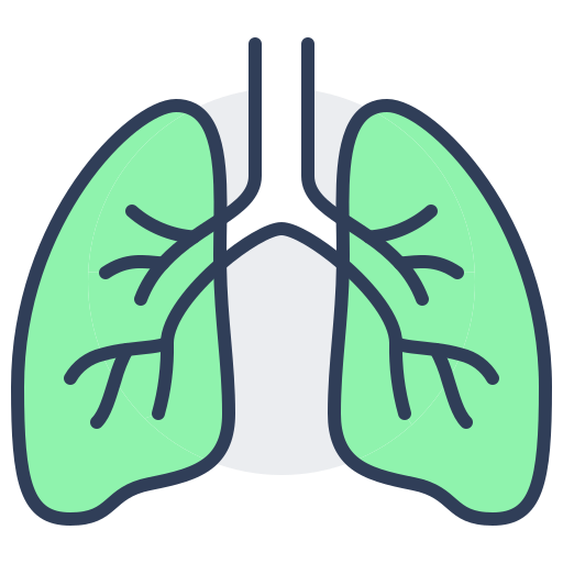 Trakea (Nefes Borusu) Cerrahisi